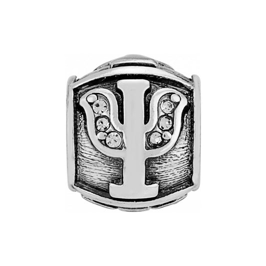 Brighton Alpha Psi Bead