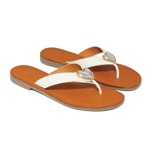 Brighton Amigo Flat Thongs