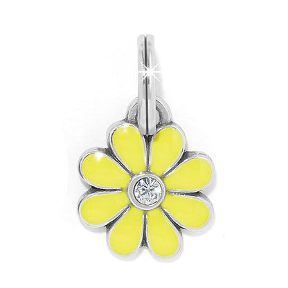 Brighton Daisy Charm