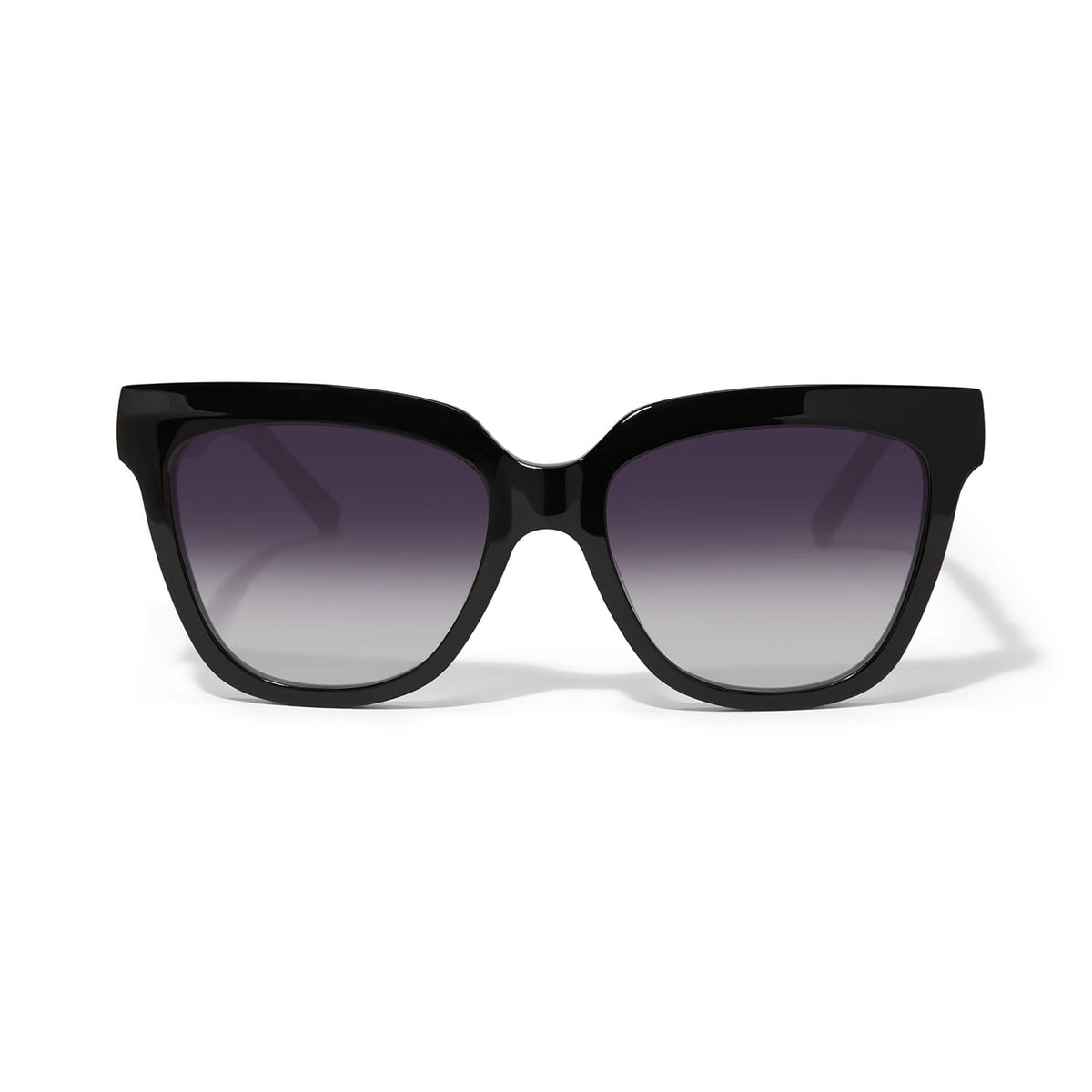 Brighton Interlok Infinity Midnight Sunglasses